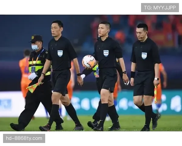 判罚争议中的裁判判定标准及其影响分析