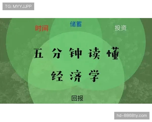 新手教学：带你快速搞懂什么是八秒违例及正确应对方法